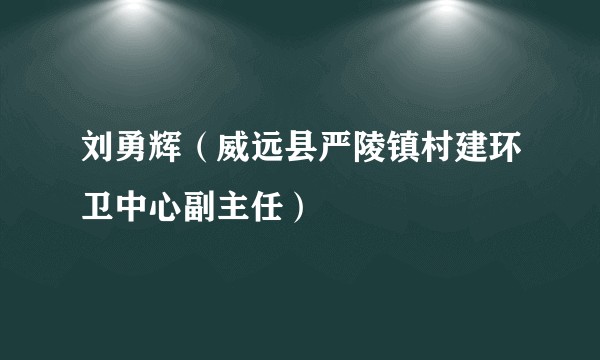 刘勇辉（威远县严陵镇村建环卫中心副主任）