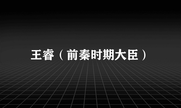王睿（前秦时期大臣）