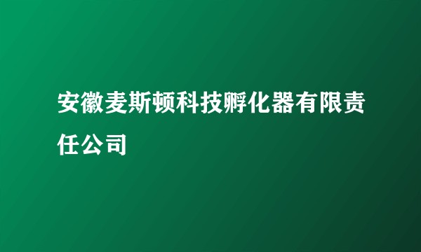 安徽麦斯顿科技孵化器有限责任公司