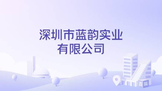 深圳市蓝韵实业有限公司