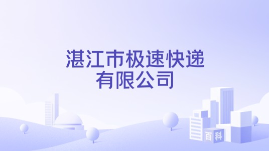 湛江市极速快递有限公司