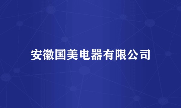安徽国美电器有限公司