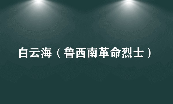 白云海(鲁西南革命烈士)