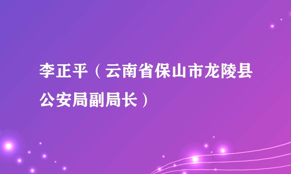 李正平(云南省保山市龙陵县公安局副局长)
