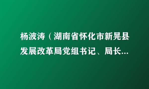 杨波涛（湖南省怀化市新晃县发展改革局党组书记、局长，县粮食和物资储备局局长，县国防动员办公室主任）