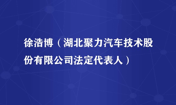 徐浩博(湖北聚力汽车技术股份有限公司法定代表人)