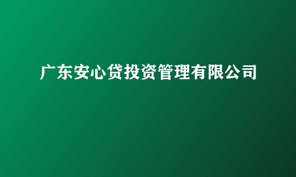 广东安心贷投资管理有限公司