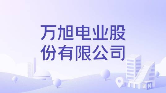 万旭电业股份有限公司