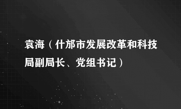 袁海（什邡市发展改革和科技局副局长、党组书记）