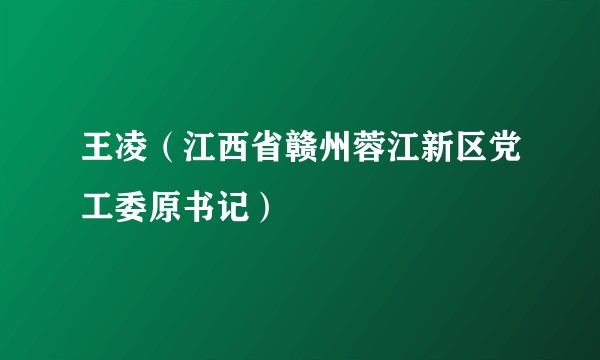 王凌（江西省赣州蓉江新区党工委原书记）