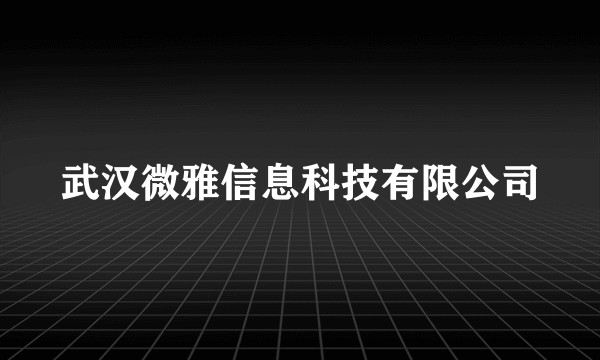 武汉微雅信息科技有限公司