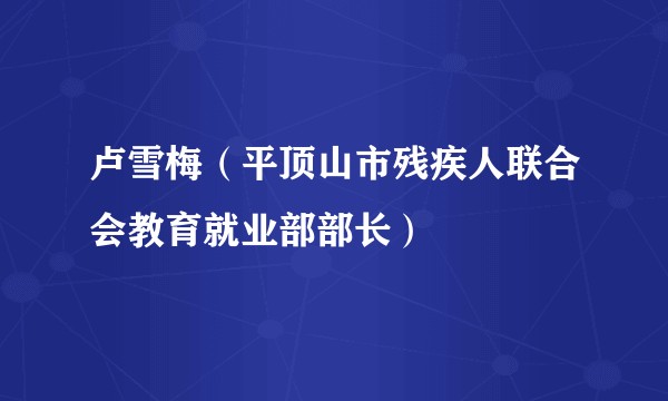 卢雪梅（平顶山市残疾人联合会教育就业部部长）