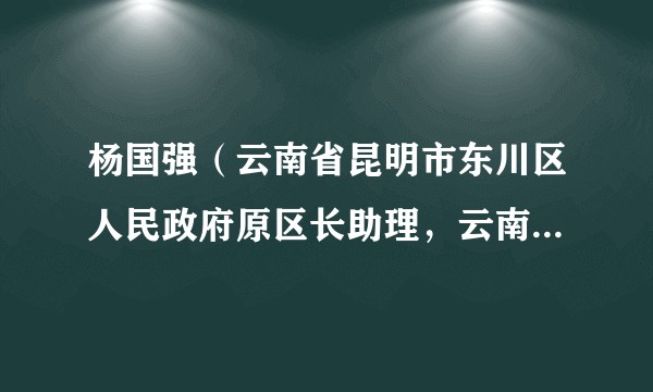 杨国强（云南省昆明市东川区人民政府原区长助理，云南省东川再就业特区管理委员会原主任）