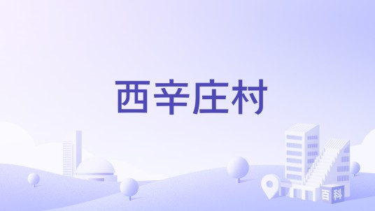 西辛庄村（山西省盐湖区车盘街道下辖村）