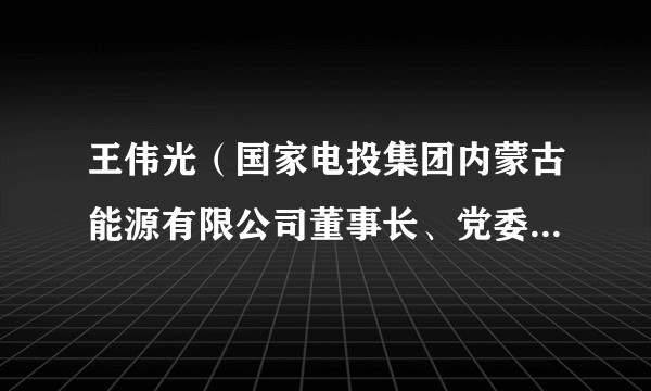 王伟光(国家电投集团内蒙古能源有限公司董事长、党委书记,中电投蒙东能源集团有限责任公司董事长、党委书记)