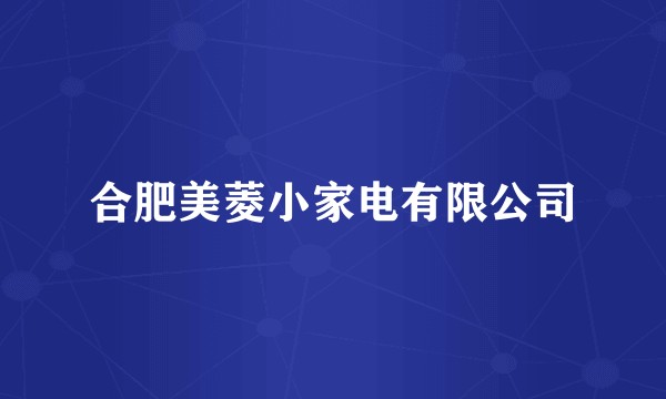 合肥美菱小家电有限公司