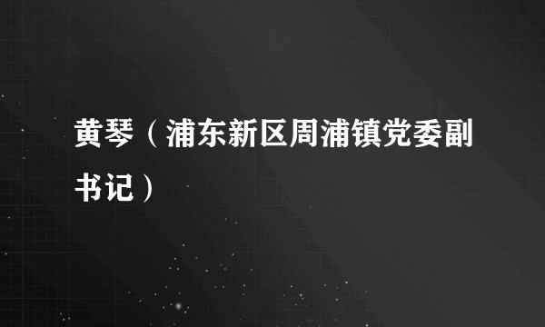 黄琴(浦东新区周浦镇党委副书记)