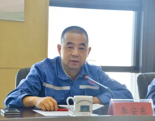 李安东（齐峰新材公司董事长）