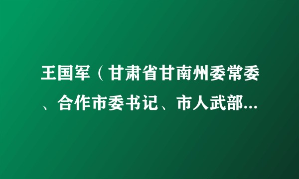 王国军（甘肃省甘南州委常委、合作市委书记、市人武部党委第一书记）