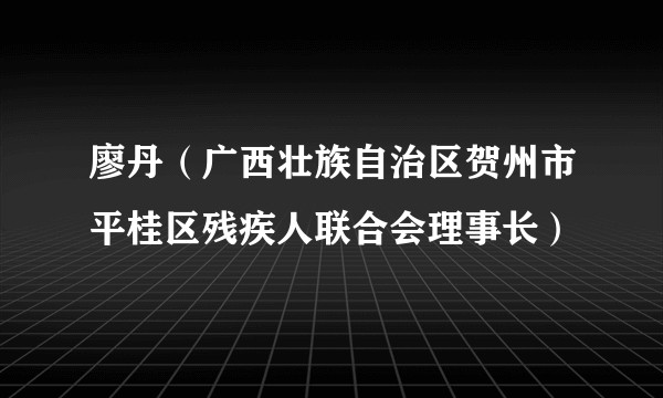 廖丹（广西壮族自治区贺州市平桂区残疾人联合会理事长）