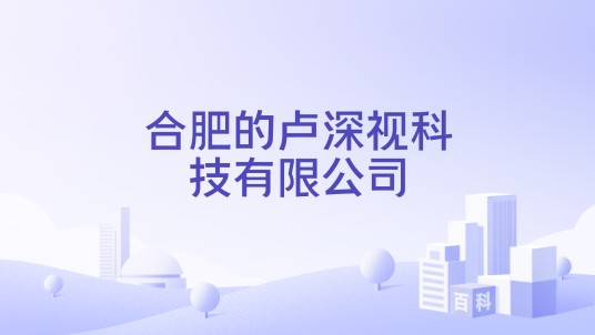 合肥的卢深视科技有限公司