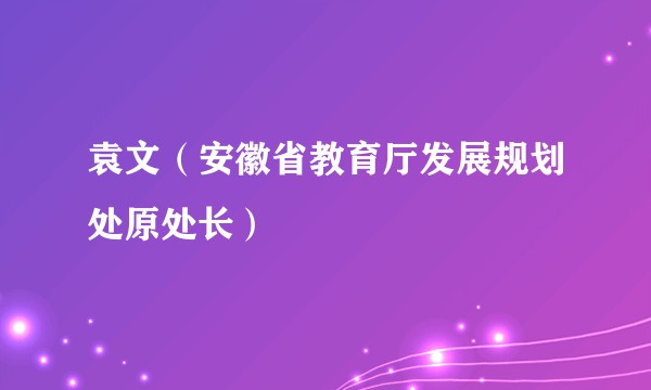 袁文(安徽省教育厅发展规划处原处长)