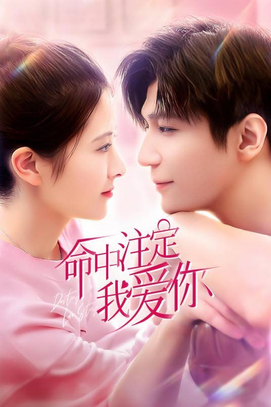 命中注定我爱你(2021年张磊执导的电视剧)