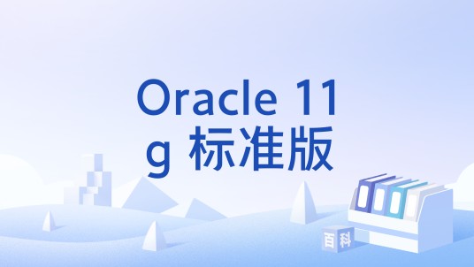 Oracle 11g 标准版