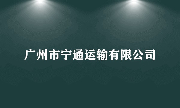 广州市宁通运输有限公司