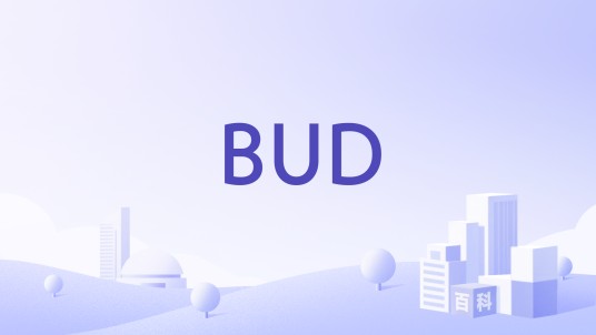 BUD(元宇宙UGC平台)
