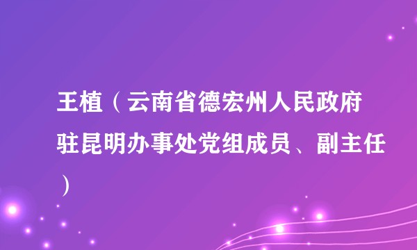 王植（云南省德宏州人民政府驻昆明办事处党组成员、副主任）