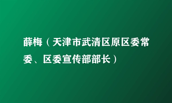 薛梅（天津市武清区原区委常委、区委宣传部部长）