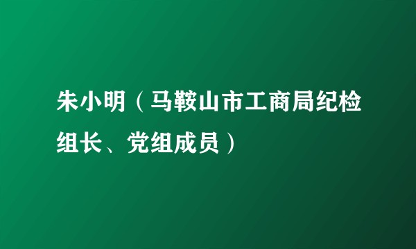 朱小明(马鞍山市工商局纪检组长、党组成员)