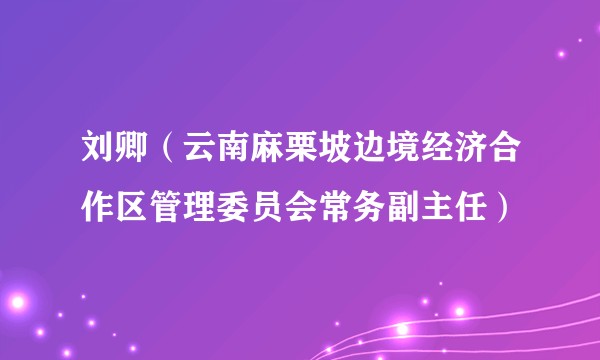 刘卿（云南麻栗坡边境经济合作区管理委员会常务副主任）