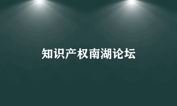 知识产权南湖论坛