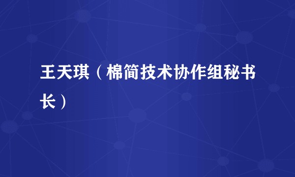 王天琪（棉简技术协作组秘书长）