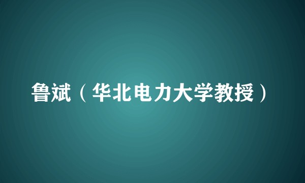 鲁斌（华北电力大学教授）