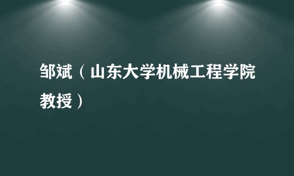 邹斌（山东大学机械工程学院教授）