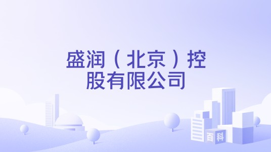 盛润(北京)控股有限公司