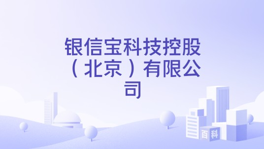 银信宝科技控股（北京）有限公司