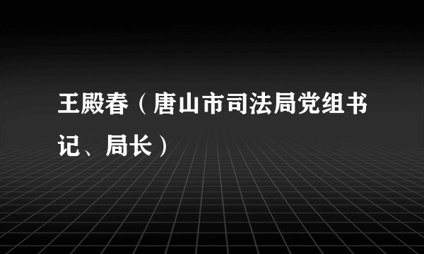 王殿春（唐山市司法局党组书记、局长）