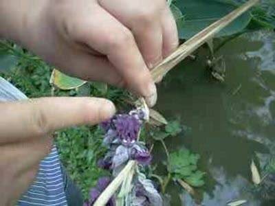 斩龙剑(中药)
