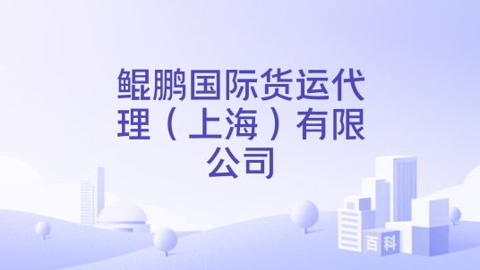 鲲鹏国际货运代理(上海)有限公司