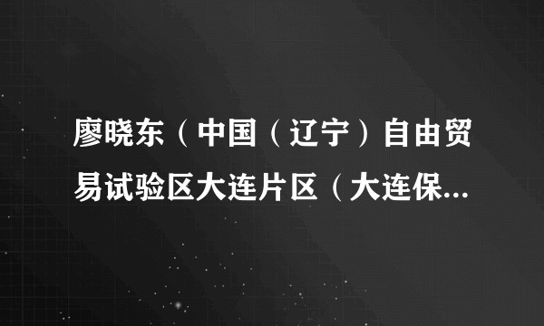 廖晓东（中国（辽宁）自由贸易试验区大连片区（大连保税区）管委会副主任）