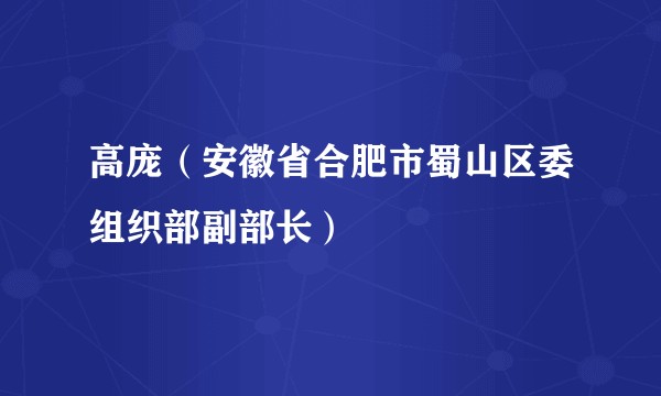高庞(安徽省合肥市蜀山区委组织部副部长)