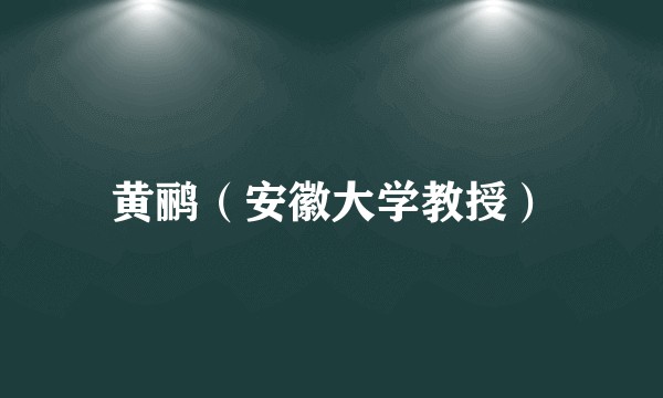 黄鹂（安徽大学教授）