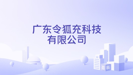 广东令狐充科技有限公司