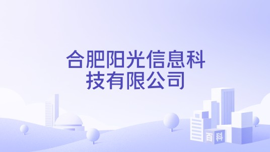 合肥阳光信息科技有限公司
