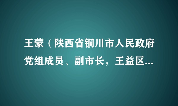 王蒙（陕西省铜川市人民政府党组成员、副市长，王益区委书记）