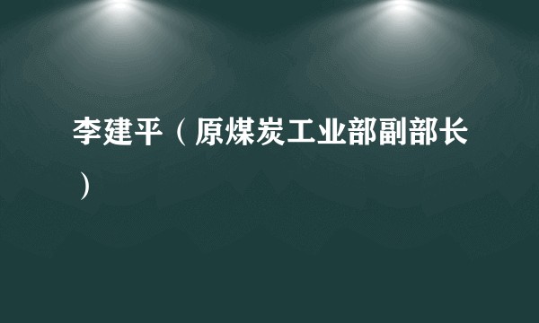 李建平(原煤炭工业部副部长)